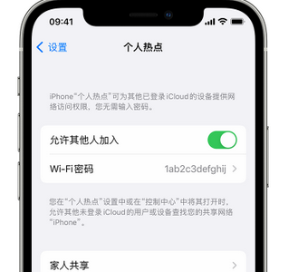 布尔津apple服务站点分享iPhone上个人热点丢失了怎么办