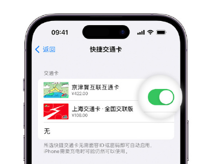 布尔津apple维修点分享iPhone上更换Apple Pay快捷交通卡手绘卡面 