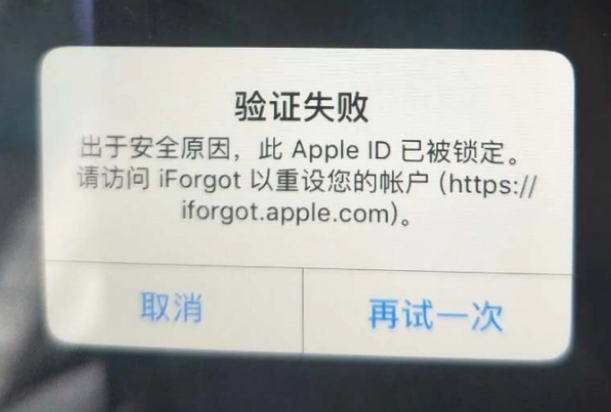 布尔津iPhone维修分享iPhone上正常登录或使用AppleID怎么办 