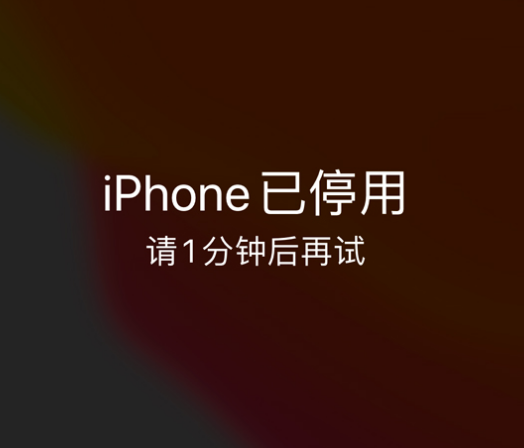 布尔津苹果手机维修分享:iPhone 显示“不可用”或“已停用”怎么办？还能保留数据吗？ 