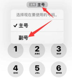 布尔津苹果14维修店分享iPhone 14 Pro Max使用副卡打电话的方法 