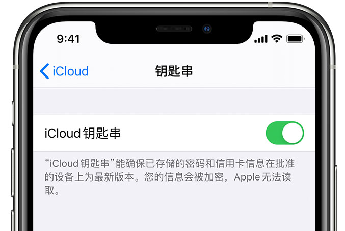 布尔津苹果手机维修分享在 iPhone 上开启 iCloud 钥匙串之后会储存哪些信息 