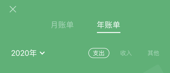 布尔津苹果手机维修分享如何在 iPhone 上查看支付宝和微信年支出账单 