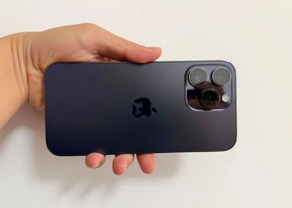 布尔津苹果维修点分享iPhone 14 Pro Max黑屏少见故障盘点 